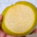 토러스농장 이미지