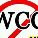 WCC의 신학적 문제점에 대한 고찰 이미지