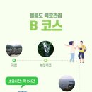 고고여행사