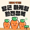 당근마켓 비지니스 프로필 마케팅 광고 모든 것