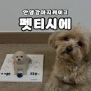 펫티시에 이미지