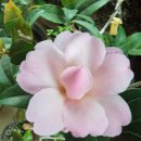 김인호 농장 이미지