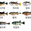 구산복집 이미지