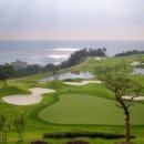 영덕 오션 이미지