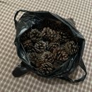 강남동로 100번길1 네이버블로그