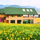 저수지목장 이미지