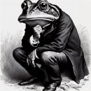 입큰개구리 이미지