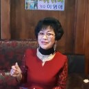 홍도야울지마라 이미지