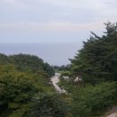 안인진임해자연휴양림 이미지