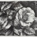 일상이 그림이되는 펜 드로잉 이미지