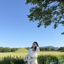 신라첨성대 | [경주 여행] 신라의 밤을 밝히는 시간, '첨성대' 방문 후기