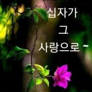 샬롬