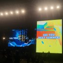 섬머소닉 오사카 2024 둘째날 후기 #모네스킨