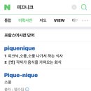 피끄니크 이미지