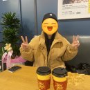 컴포즈일동