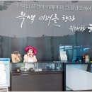 폴-리딩 이미지