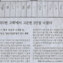 홀리호랑 이미지