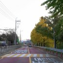 삼장초등학교 이미지