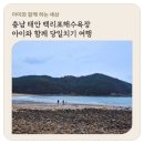 백리포 해수욕장 | 충남 태안 백리포해수욕장 카페산바다 자율매점 아이와함께 당일치기 여행