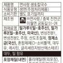 후리몰