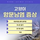 왜관동물병원 이미지