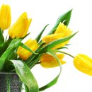 일기일회 이미지