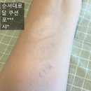 (종료)특별한 당신을 위한 럭셔리 쿠션 뽀송/촉촉/블링블링/지속력 갑 달 멜로우 쿠션 공구