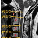 건강한뇌신경과의원 이미지