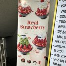 설빙성남점 이미지