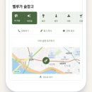 모모슈 이미지