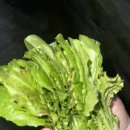 부흥로173번길 이미지