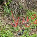 봉화공인중개사사무소 이미지