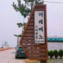 마레삐노펜션 | 강원도양양 :: 바다가보이는 마레삐노 스파펜션 이용후기