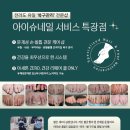 내성집