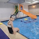 코모도 실내수영장 이미지