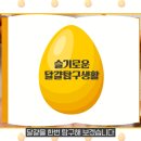 슬기로운밥상생활 이미지