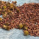 천일어린이집 이미지