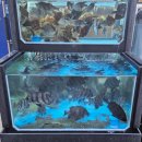 태종로1(남) 이미지