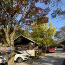 월드니스 | 충북 제천 숲속 글램핑/청풍월드니스글램핑 능강 방문후기