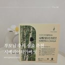 바이칼의 아침 | 부모님 추석선물 추천 면역력에 좋은 바이칼허브 시베리아차가버섯 후기 효능