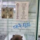 요기독 강아지분양 고양이분양 서울본점 | [서울 강아지 분양] 건강한 반려견을 안심하고 분양받을 수 있는 곳, 요기독