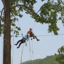 아보리스트 1급 자격증 과정 이미지