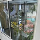후유메리상암꽃집 | [마포/상암] 상암 후유메리 꽃다발M사이즈 선물용 후기🌸 / 내돈내산 🎁