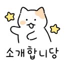 엠브이피디테일 이미지