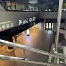 광화문로얄안경 | 서울 광화문역 맛집] 13년 연속 블루리본 ‘영월 사랑방식당’ 오징어불백 솔직후기 (광화문점심맛집 추천)