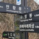 녹차밭약수터 이미지