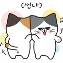담비미용실 이미지