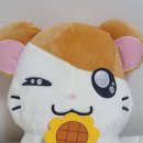 보물섬직구