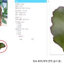 영인원예 이미지