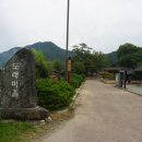 나주홍어 이미지